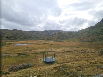 14:00.jpg