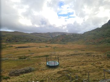16:00.jpg