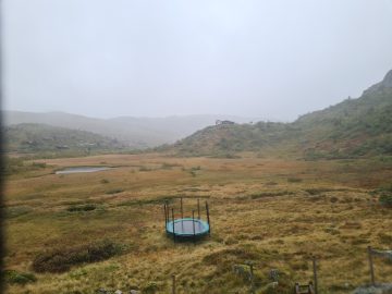 14:00.jpg