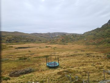 08:00.jpg