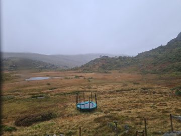 08:00.jpg