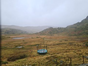 13:00.jpg