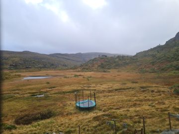 16:00.jpg