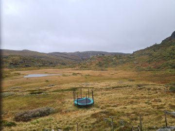 08:00.jpg