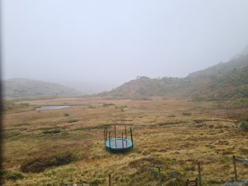 13:00.jpg