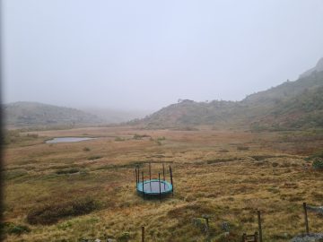 14:00.jpg