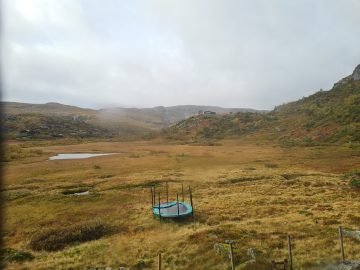 08:00.jpg
