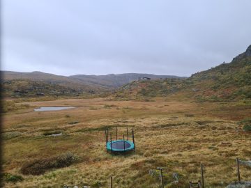 14:00.jpg