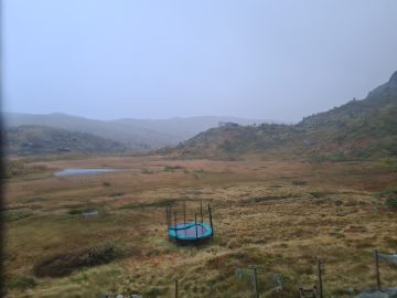 16:00.jpg