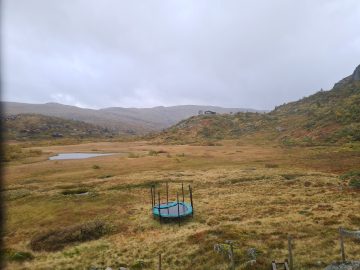 14:00.jpg
