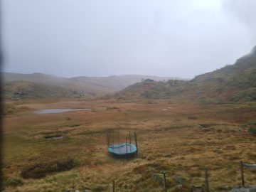 16:00.jpg