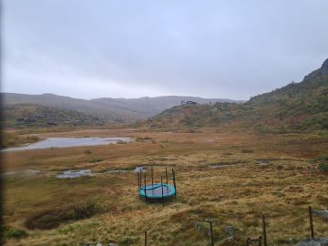 08:00.jpg