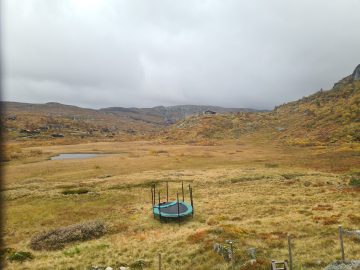 15:00.jpg