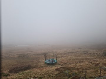06:00.jpg