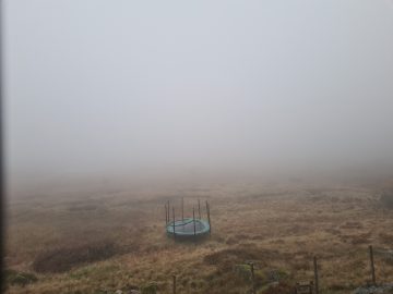 07:00.jpg