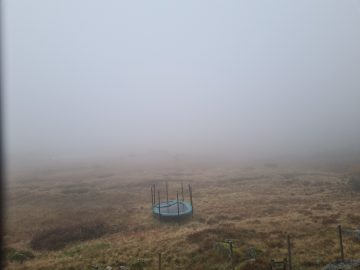08:00.jpg