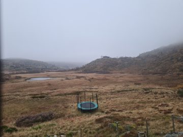 08:00.jpg