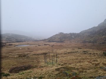 13:00.jpg