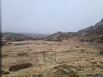 14:00.jpg