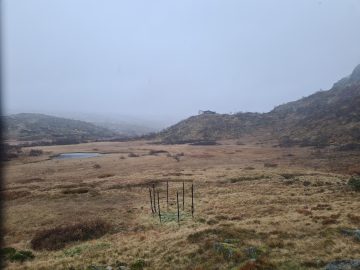 15:00.jpg