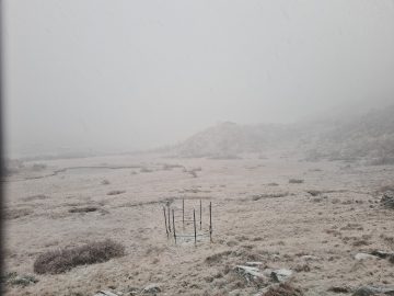 16:00.jpg