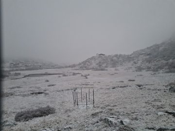 17:00.jpg