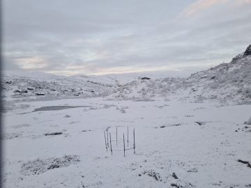 06:00.jpg