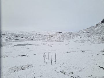 07:00.jpg