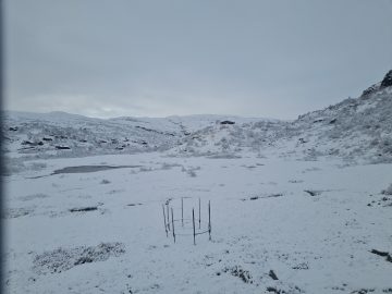 08:00.jpg
