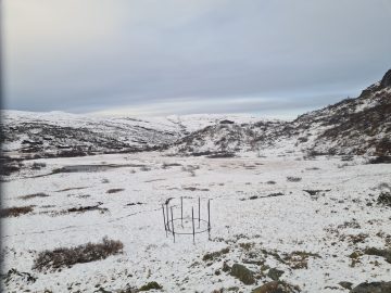 07:00.jpg