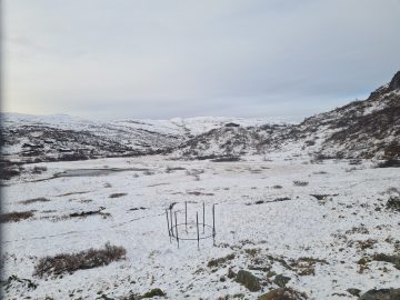 08:00.jpg