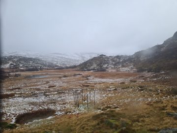 08:00.jpg