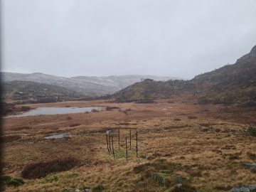 15:00.jpg