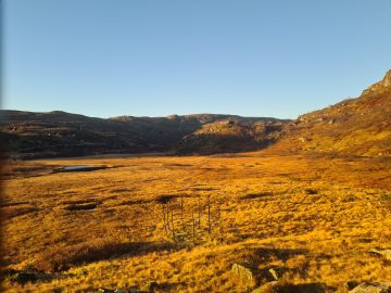 07:00.jpg