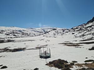 2026-05-03 15:00