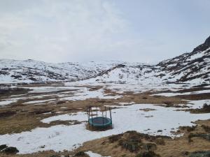 2026-05-09 11:00