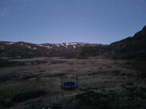 2026-06-06 03:00