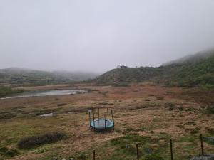 2026-06-09 05:00