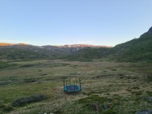2026-06-15 22:00