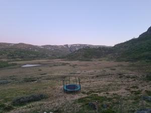 2026-06-15 23:00