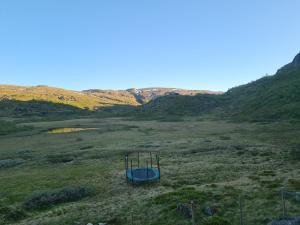 2026-06-16 21:00