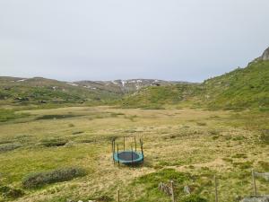2026-06-17 09:00