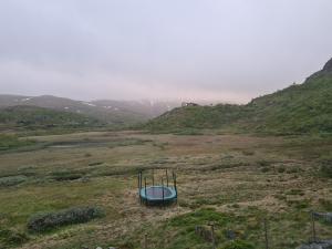 2026-06-18 05:00