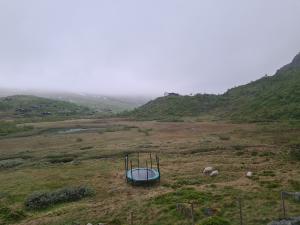 2026-06-19 06:00