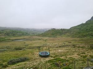 2026-06-19 16:00