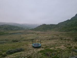 2026-06-19 22:00