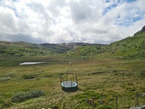 2026-06-20 14:00