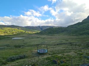 2026-06-20 19:00