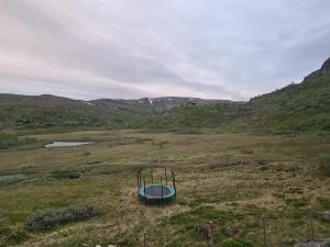 2026-06-23 05:00