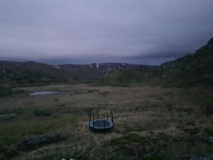 2026-06-24 03:00